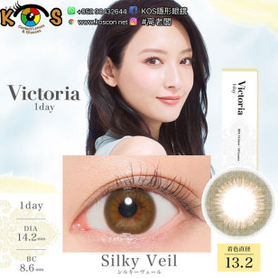 Victoria 1day Silky Veil キャンディーマジックヴィクトリア ワンデー シンプルシリーズ ダスティグレー